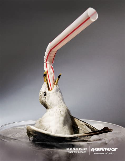 adsoftheworld print|Straws Suck: Fish, Straws Suck: Gull, Straws Suck: .